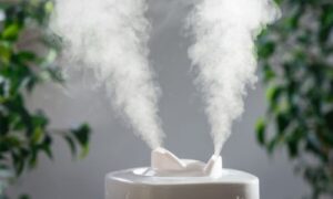 Breathing Easy: The Health Benefits of Professional Humidifier Installation
